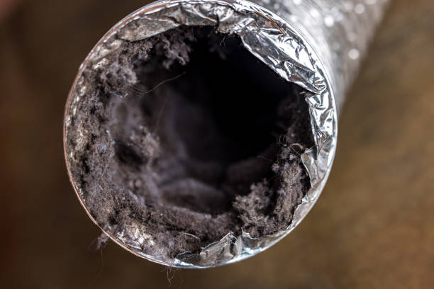 Best Air Vent Cleaning Services  in Lake Fenton, MI
