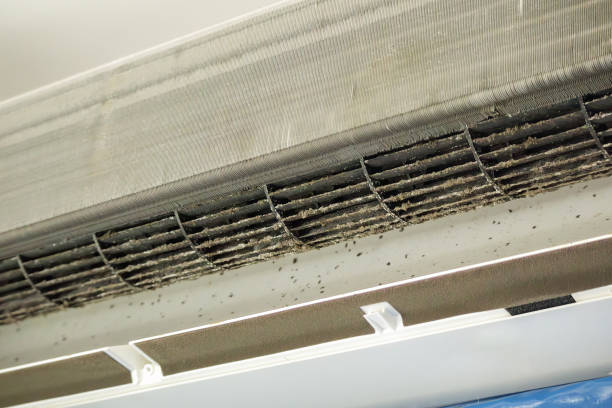 Best Local Air Duct Cleaning Services  in Lake Fenton, MI